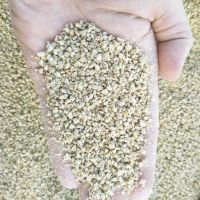 正大 大鸡配合颗粒饲料 鸡 鸭 鹅 鸽子鸟类颗粒饲料一份5斤 正大小鸡颗粒饲料9斤