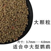 鹦鹉滋养丸金刚灰机亚力葵花金太阳和尚玄凤颗粒饲料合成鸟食鸟粮 大颗粒 一斤装500克[买一斤送一斤]