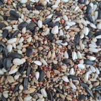 虎皮牡丹玄凤中小型鹦鹉鸟食饲料五色黍子鹦鹉混合营养粮多省 玄凤鹦鹉专用混合粮16合1的5斤