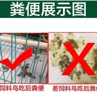 画眉鸟食饲料画眉鸟料提性专用食2500g画眉食斗鸟画眉饲料