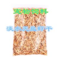 乌龟小虾干饲料小龟粮淡水鱼干钩虾面包虫无盐虾干补钙齐全龟粮食 淡水虾干500克[袋]