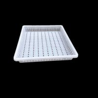 南方小豆腐盒薄豆腐商用家用塑料豆腐框专用豆腐模具豆制品专用筐 40框(内径40cm 高6.5)