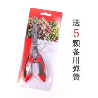 B&O'le's山楂去核神器冰糖葫芦制作工具去果核剪多功能抠籽去核钳 [黑红升级款]橡塑手柄