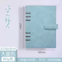 活页记账本家庭现金日记账本日常收支手账明细账多功能理财手账本 天蓝色[立体磁扣]