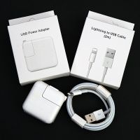 苹果ipad充电器mini/air/2/3/4/5快充数据线平板充电头手机充电线 2.4A原封充电头+2米原封数据线