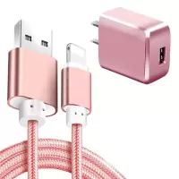 苹果6s数据线加长2米iphoneXR/7/8plus快充电器头ipad充电线直插 玫瑰金 [快充线+充电头]套装 3米