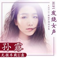 孙露歌曲U盘无损发烧音乐MP3寂寞情人 午夜忘寝 怎样遇见你音视频 16G孙露专辑歌曲无损全集