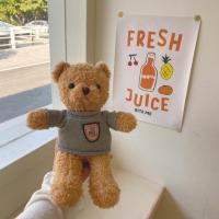 韩国ins可爱红色毛衣熊毛绒泰迪熊 学生情侣生日礼物抱熊公仔玩偶 灰色毛衣棕熊[30cm左右] +礼品袋+贺卡+灯带