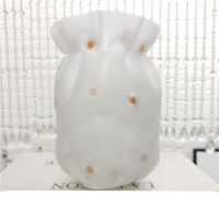 小雏菊秋冬女袖套3层半透蕾丝刺绣套袖韩版秋冬季防污袖筒白黑绿 小雏菊白色()