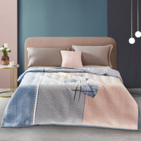 红豆家纺 云毯加厚保暖亲肤舒适毯子居家日用床盖可铺可盖