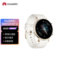 HUAWEI WATCH GT2 华为手表 运动智能手表 一周长续航/血氧检测/麒麟芯片/心率监测 华为gt2 42mm凝霜白