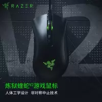 雷蛇(Razer) 炼狱蝰蛇V2(RZ01-03210100-R3M1) 有线鼠标 （不开发票）