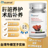GLGFAS美国进口牛樟芝胶囊台湾椴木子实体重症护肝术后调理1瓶