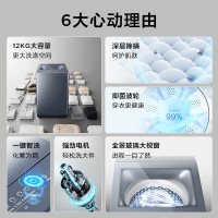 TCL洗衣机 B120T5 12KG超大容量全家桶全自动波轮洗衣机 深层除螨 一键智洗 24小时预约 全景玻璃大视窗
