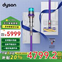 戴森(Dyson)无绳吸尘器 G5 Detect Fluffy 新品 大功率除尘HEPA过滤性能强大深度清洁