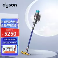 戴森(Dyson)无绳吸尘器 G5 Detect Fluffy 新品 大功率除尘HEPA过滤性能强大深度清洁