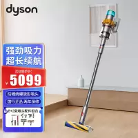 戴森(Dyson)无绳吸尘器 V15 Detect Absolute 家用除螨 无线宠物家用清洁无绳 续航可达60分钟