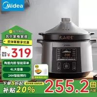 美的(Midea)电炖锅 电炖盅 煲汤锅炖汤锅 煮粥锅 精控快速火山陶釜电炖锅 4L容量 DGC4018