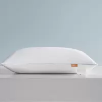 依朴 枕芯 480*780mm/个