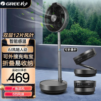 格力(GREE)电风扇FSZ-2303Bg7空气循环扇智能遥控户外便携台扇可伸缩折叠落地扇直流变频风扇