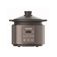 九阳(Joyoung)电炖锅4升大容量电砂锅24H智能预约多功能家用炖锅 DG40Z-GD730