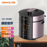 九阳电压力煲一煲双胆6L按键式开关Y60C-B526