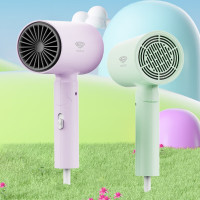 超人(SID)电吹风 家用吹风机可折叠吹风筒 RD1658 淡紫/浅绿