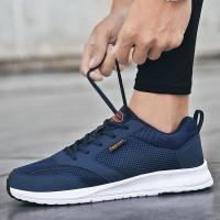 迪鲁奥(DILUAO)男鞋网面大码夏季网面透气中老年爸爸轻便透气防滑户外休闲鞋舒适悦舒锐老人鞋ABCYEEF