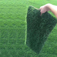 草子绿化草籽四季常青庭院护坡固土草种籽草皮草坪种子黑麦草