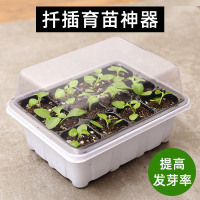 扦插育苗穴盘育苗神器专用盆营养杯塑料钵长方形托盘芽菜盒箱苗盘