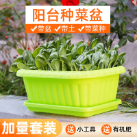 种菜盆神器家庭阳台塑料室内花盆小香葱生菜空心菜蔬菜种植套餐