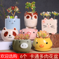 卡通多肉花盆陶瓷清仓简约特价大口径套装组合可爱动物小花盆