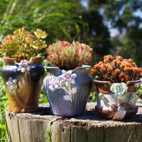 多肉花盆中国风手工粗陶透气清仓特价复古群生肉肉植物绿植盆