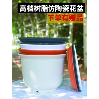 新款环保树脂花盆绿萝盆栽加厚圆形仿陶瓷简约室内阳台大花盆