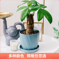 北欧简约塑料加厚花盆大号绿萝兰花仿陶瓷个性多肉小花盆特价清仓