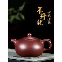 宜兴名家紫砂壶 纯手工功夫茶壶茶具套装泡茶壶壶