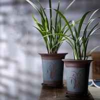 紫砂兰花盆大口径君子兰盆陶瓷兰草盆专用盆带托盘