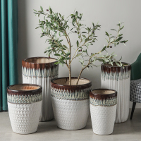 室外发财树金钱树平安树超大特大号陶瓷花盆客厅落地造型超大花缸