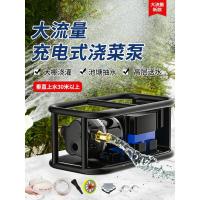 12v充电式抽水泵农村浇菜神器浇水机农用灌溉户外浇地小型抽水机