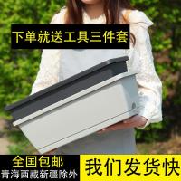 种菜盆 长条花盆 阳台家庭种菜盆 室内蔬菜长方形种植盆