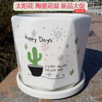 花盆陶瓷加厚特大号带托盘绿萝吊兰室内多肉创意绿植简约花盘清仓