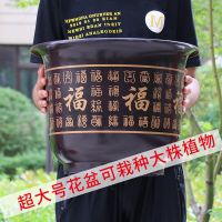仿陶瓷加厚塑料花盆树脂大号绿植绿萝花盆梅花福字园艺花盆批发