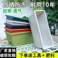 霍仑盆种菜阳台塑料花盆批发特大号长条花盆家用种菜花盆特价清仓