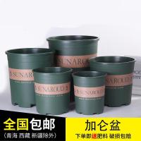 花盆加仑盆塑料花盆树脂花盆月季花盆阳台客厅花盆特大号花盆