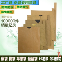 双层梨套袋纸袋桃袋枇杷专用袋苹果袋梨子套袋石榴袋防雨防鸟