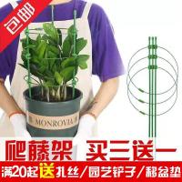 植物爬藤花架 阳台花盆攀爬支柱花卉固定支撑防倒圆环蟹爪兰昙花月季豆角瓜铁线莲兰花蔷薇玫瑰发财树支架
