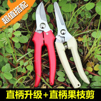 不锈钢强力园林园艺修枝剪家用省力修花修剪树枝花艺剪刀