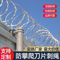 刀片刺绳防盗刺滚笼刺网防盗网防爬刺铁丝网防爬网带刺铁丝