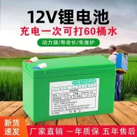 12V农用电动喷雾器配件喷雾器专用锂电池免维护蓄电池