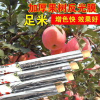 农用苹果反光膜 温室增温增色高亮苹果桃子葡萄果树花卉反光膜纸